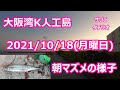 ＃大阪湾＃人工島 2021年10月18日(月曜日）朝マズメの様子＃朝マズメ散歩