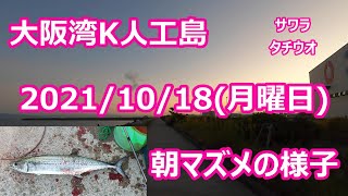 ＃大阪湾＃人工島 2021年10月18日(月曜日）朝マズメの様子＃朝マズメ散歩