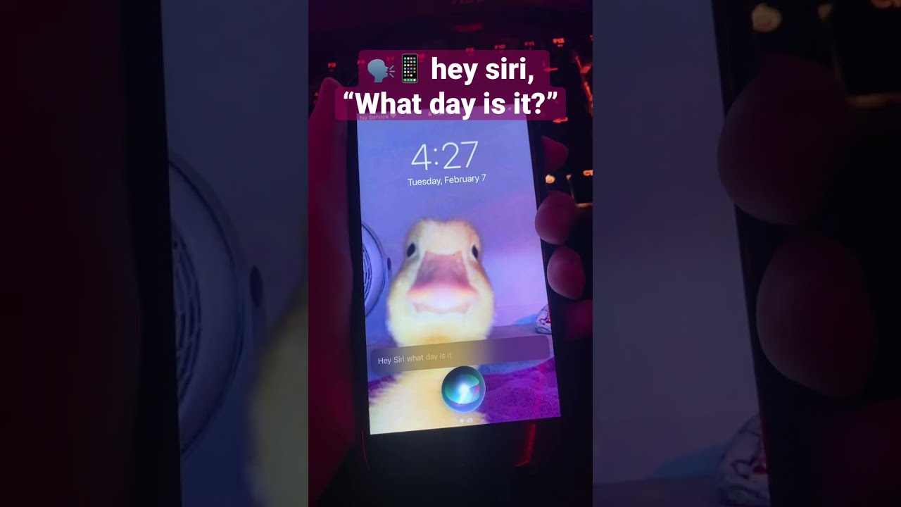  Hey Siri What Day Is It
