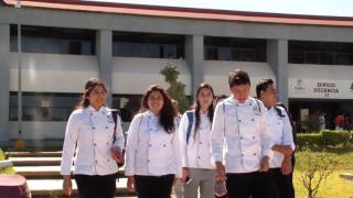 LICENCIATURA EN GASTRONOMIA 2017 UTXJ