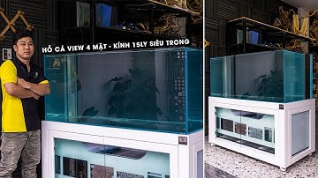 Lắp đặt HỒ CÁ TOP VIEW 4 MẶT - KÍNH 15LY SIÊU TRONG "CỰC NÉT" chơi Thủy sinh tại Quy Nhơn