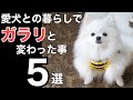 愛犬との暮らしでガラリと変わったことベスト５！