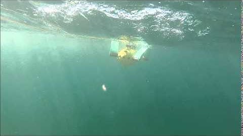 A Too big Uncertainty to be compensated