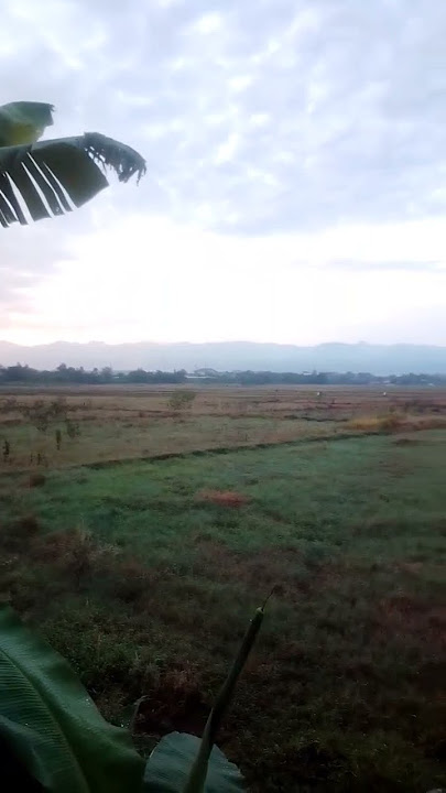 alam yang tandus