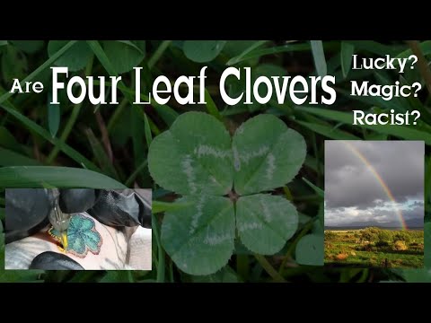 The Lucky Meaning of Four Leaf Clover Tattoos
