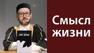 В поисках смысла жизни