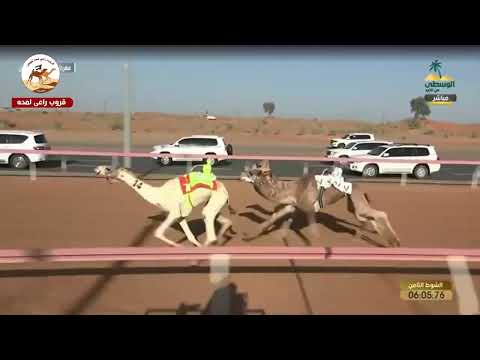 الشوط 8 شوباش ل عبدالعزيز صالح حمد ابوشريده العذبه 8 06 00