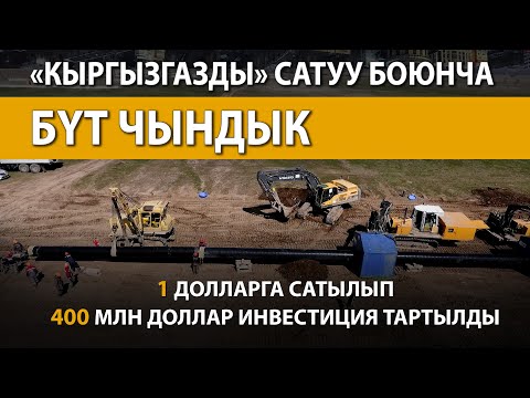 Video: 2017-жылы илим жасаган 33 изилдөө