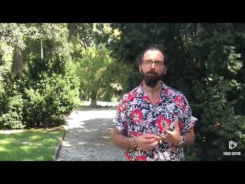 სამგზავრო სავარძელი ბავშვების სიცოცხლის დასაცავად