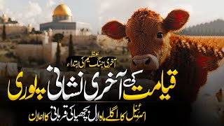 Israel Sacrificing Red Heifer In April Qiyamat Ki Bari Nishani Red Cow Sacrifice Muslimmatters