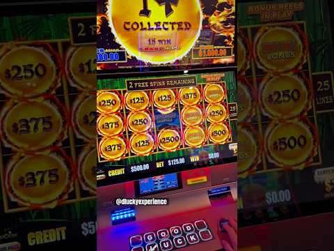 Cash Chips | Kate Gets Her Headshots Taken and It Backfires TERRIBLY | The Yak 6-17-25