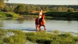 Красный конь  Валентин Дьяконов