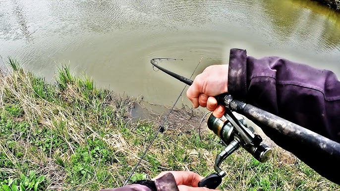 Removing side plate to Abu Garcia Black Max Gen 3 baitcasting reel 