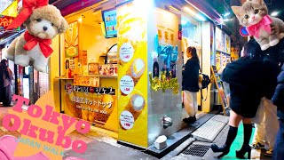 Tokyo Shin-Okubo🐶🍻Idol Goods Street♪💖4K relax/study non-stop 1 hour 04 minutes