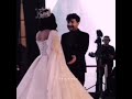 ملكة انتي ملكة 