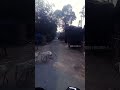 बिहार
