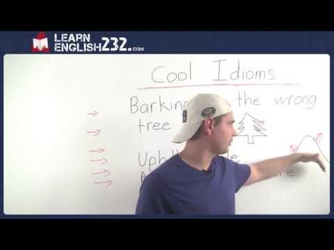 Learn Cool English Idioms for ESL - Barking up the Wrong Tree