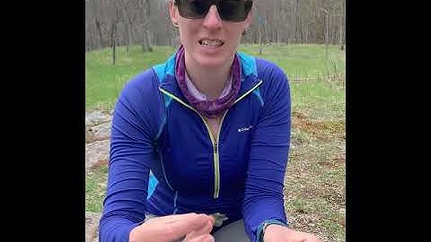 Ever wonder that shiny rock?