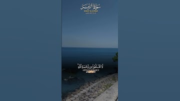 #ماهر_المعيقلي #الشيخ_ماهر_المعيقلي #سورة_الزمر #القرآن_الكريم #تلاوة_خاشعة #fypyoutube #fypforyou