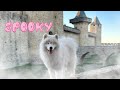 Day in the life  visiting a haunted castle in france