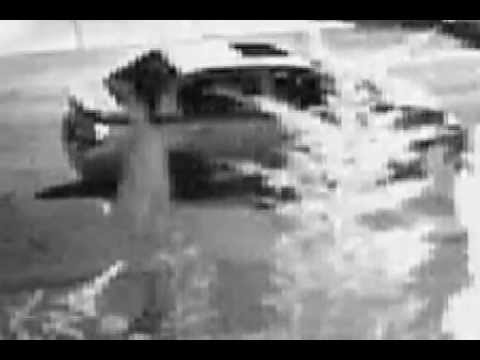 102 Pct - Attempted Rape protecting the amazon preserving culture traduçao