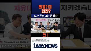보수 3당 합체?