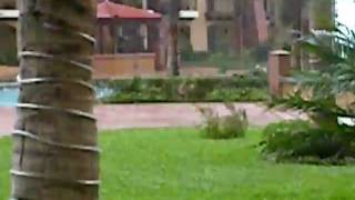 Hurricane Jimena 8-09