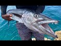 GIANT! Barracuda Catch Clean N’ Cook