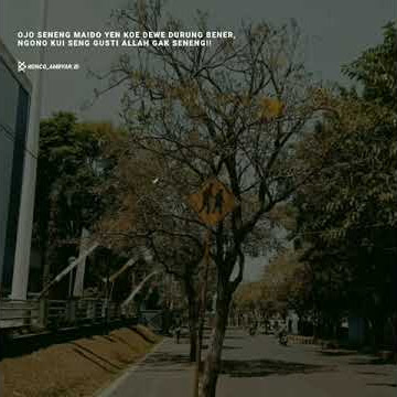 story'wa|| Ojo seneng maido