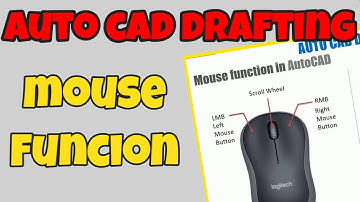 3 1 Mouse Funcion in AutoCAD