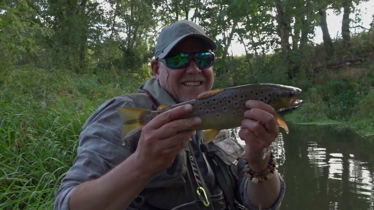 Rudens upėtakiai Timonais. TV