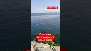 Ana Dilfinlar Ana Ana