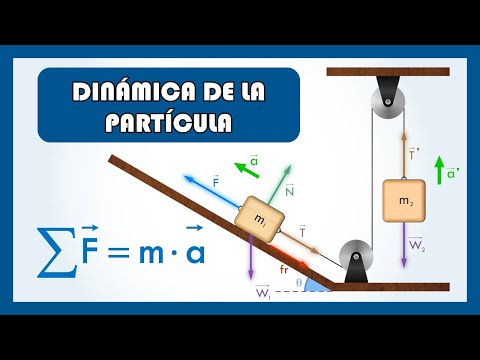 Vídeo: Com Es Pot Trobar La Velocitat D’una Partícula