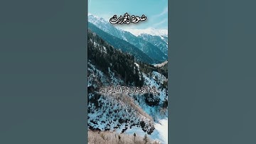 آيات من سورة الحجرات | القرآن الكريم