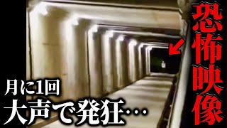 深夜のトンネルで発狂する人間がいて眠れない…やばすぎる恐怖映像から何者かを解明するコレコレ【2022/06/13】