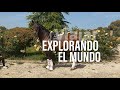 Yo amo los caballos andaluces