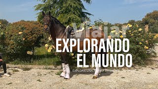 Yo amo los caballos andaluces