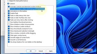 Disable Minimize And Maximize Windows animation in Windows 11 screenshot 3