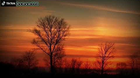 السورة المنجية من عذاب القبر | سورة الملك | تلاوة خاشعة القارئ : محمد البكري