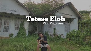 TETESE ELOH - Cover by Yanuar