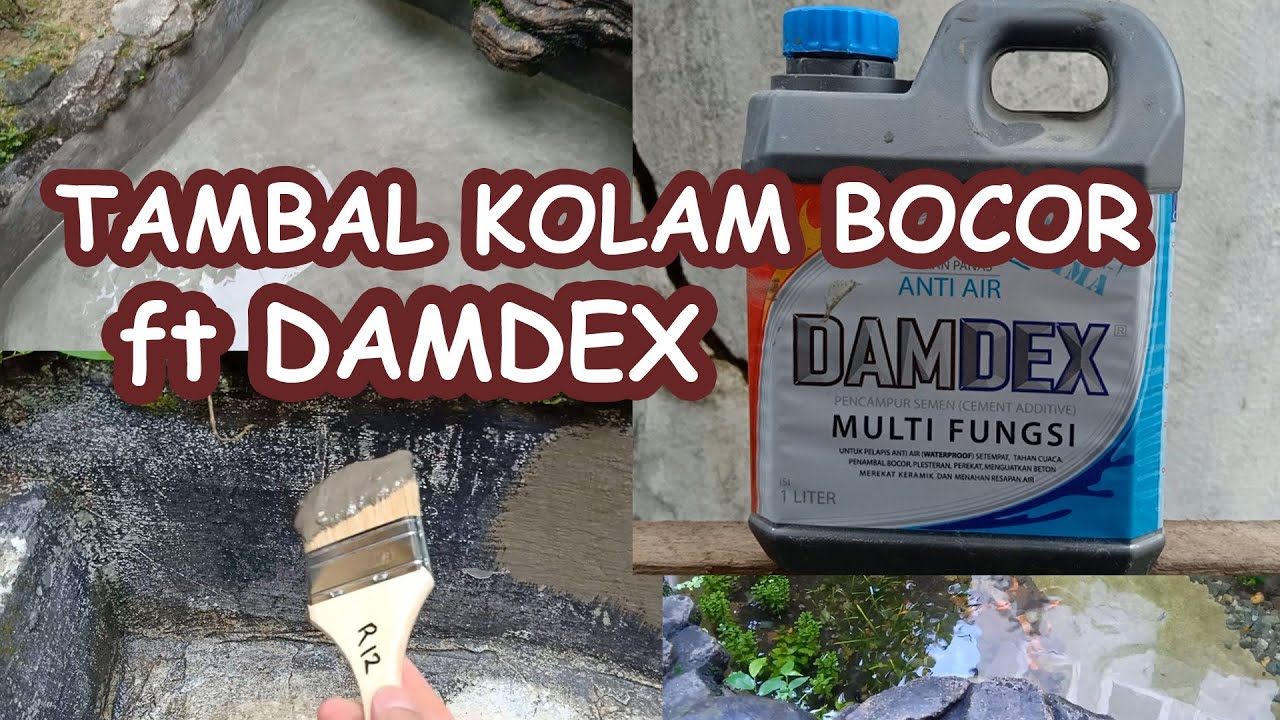 menambal kolam bocor dengan damdex