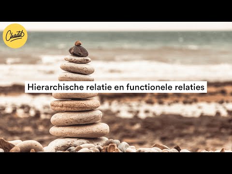 Video: Wat is functionele relatie in een organisatie?