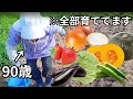 【田舎】90歳農家の、今日の畑仕事！ #18