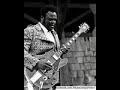 Capture de la vidéo Freddie King - Cabooze; Minneapolis, Minnesota. 1976