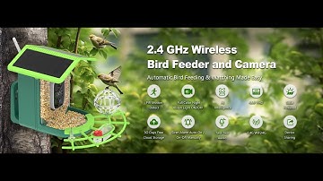 Hibirds Bird Feeder Camera with AI Identify Birds Chasing Squirrel Away
