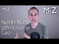 North Node 5th House or Leo / South Node 11th House or Aquarius (Rahu & Ketu)