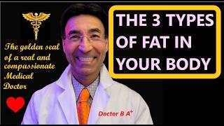 THE 3 TYPES OF FAT IN YOUR BODY