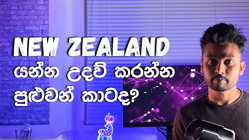රට යන්න උදව් කරන්න පුළුවන් කාටද? ✅ New Zealand Informative Video Sinhala 📢