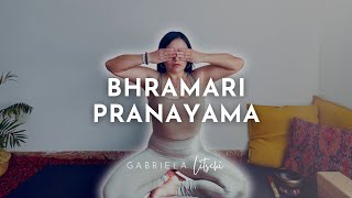 Respiración calmante : Bhramari Pranayama 🐝  Respiración de la Abeja by Gabriela Litschi 4,936 views 3 weeks ago 15 minutes