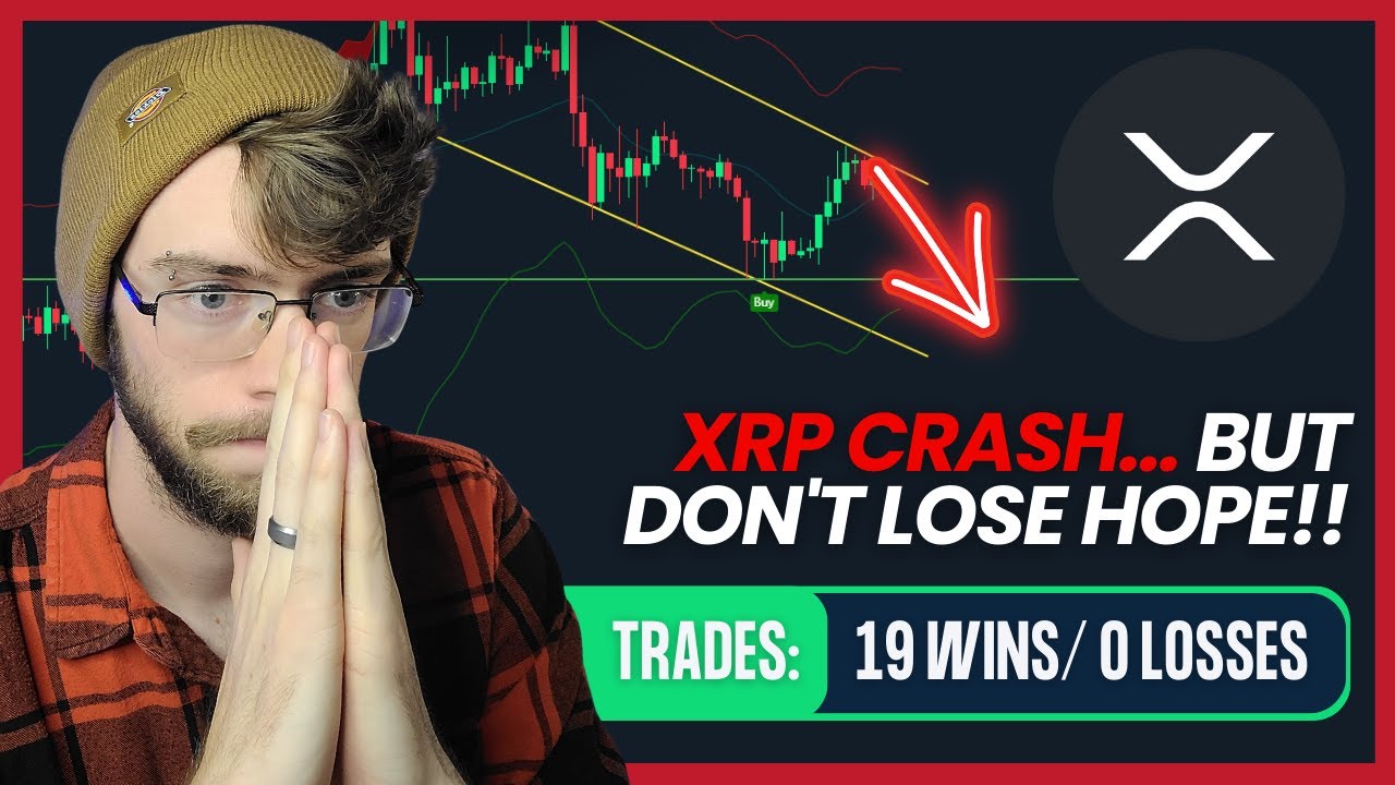 XRP To CRASH Soon But I m BULLISH Here s Why XRP Price xrp-to-crash-soon-but-i-m-bullish-here-s-why-xrp-price